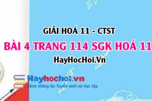 Giải bài 4 trang 114 Hoá 11 SGK Chân trời sáng tạo